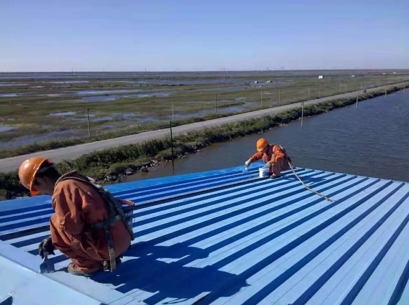 中站钢结构屋面漏水原因